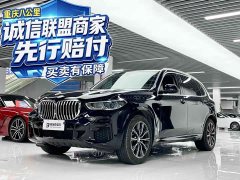 BMW X5 xDrive 30Li Deluxe VersionM - ფოტო 1