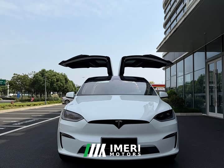 Tesla Model X Dual Motor Edition - ავტომობილი ჩინეთიდან