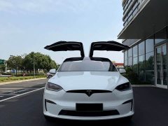 Tesla Model X Dual Motor Edition - ფოტო 1