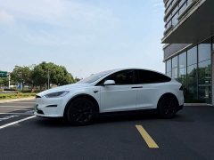 Tesla Model X Dual Motor Edition - ფოტო 2