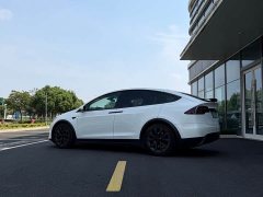 Tesla Model X Dual Motor Edition - ფოტო 5