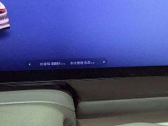Tesla LS6 EV Max - ფოტო 15
