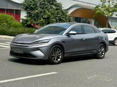 BYD L EV 545KM Version - ფოტო 1