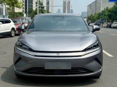 BYD L EV 545KM Version - ფოტო 2