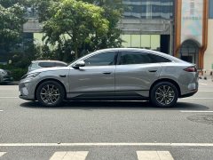 BYD L EV 545KM Version - ფოტო 5