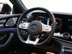 Mercedes-Benz AMG GT AMG GT 50 - ფოტო 18