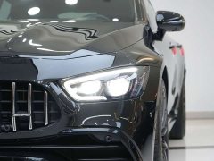 Mercedes-Benz AMG GT AMG GT 50 - ფოტო 7