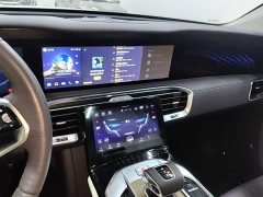 FAW E-HS9 690km Edition - ფოტო 12
