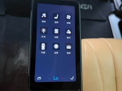 Denza D9 DM-i 980 AWDFlagship Version - ფოტო 13