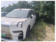 Zeekr 009 EditionAWD 108kWh - ფოტო 2