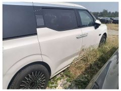 Zeekr 009 EditionAWD 108kWh - ფოტო 3