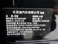 Yangwang U8 Luxury Edition - ფოტო 8
