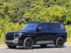 Yangwang U8 Luxury Edition - ფოტო 1