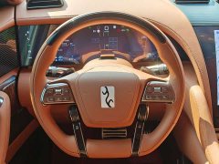 Yangwang U8 Luxury Edition - ფოტო 14