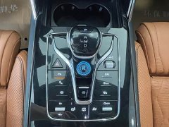 BYD DM-p 215KM AWDDeluxe Version - ფოტო 13