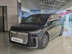 Voyah PHEV Pro - ფოტო 1