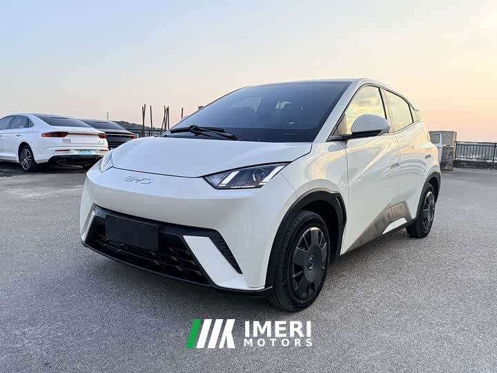 BYD Edition 305km Edition - ავტომობილი ჩინეთიდან