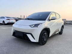 BYD Edition 305km Edition - ფოტო 1