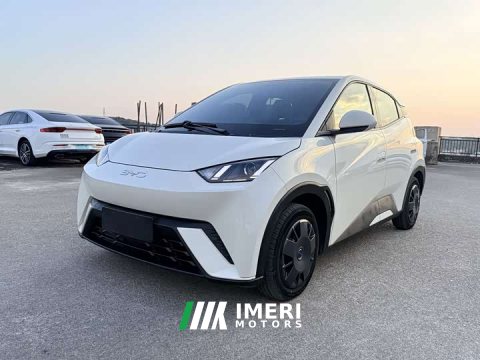 2025 BYD Edition 305km Edition - ავტომობილი ჩინეთიდან