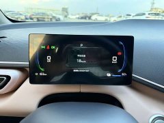 BYD Edition 305km Edition - ფოტო 10