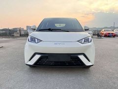 BYD Edition 305km Edition - ფოტო 2