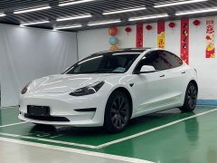 Tesla Model 3 Standard Range Edition - ფოტო 1