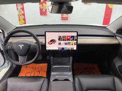 Tesla Model 3 Standard Range Edition - ფოტო 10