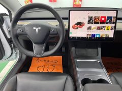 Tesla Model 3 Standard Range Edition - ფოტო 11