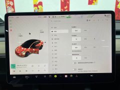 Tesla Model 3 Standard Range Edition - ფოტო 18
