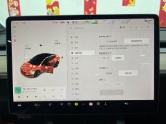 Tesla Model 3 Standard Range Edition - ფოტო 19