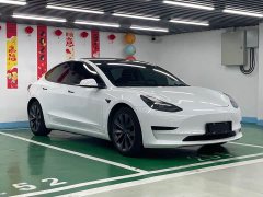 Tesla Model 3 Standard Range Edition - ფოტო 3