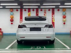 Tesla Model 3 Standard Range Edition - ფოტო 6