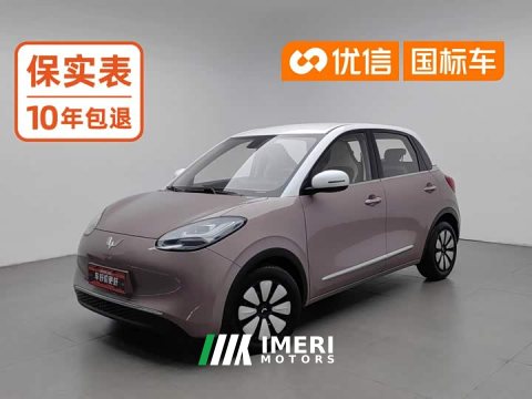2023 Wuling 203km - ავტომობილი ჩინეთიდან