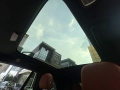 Li Auto L8 Pro - ფოტო 14