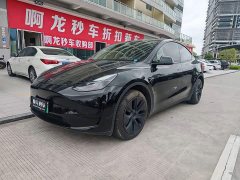 Tesla Model Y Edition - ფოტო 1