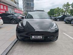 Tesla Model Y Edition - ფოტო 2