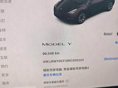 Tesla Model Y Edition - ფოტო 3