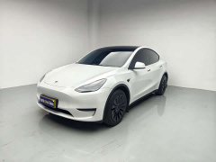 Tesla Model Y Edition - ფოტო 1