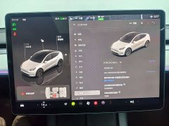 Tesla Model Y Edition - ფოტო 11