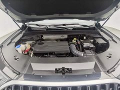 Chery 9 2.0T 2WDLuxury Edition 5 - ფოტო 6