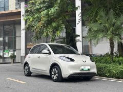 Wuling 203km - ფოტო 13