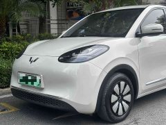 Wuling 203km - ფოტო 16