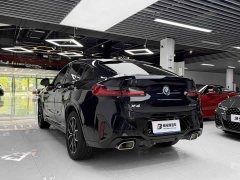 BMW X4 xDrive 25i M - ფოტო 11