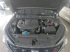 Changan PLUS NE 1.4T GDI DCTPremium Version - ფოტო 19