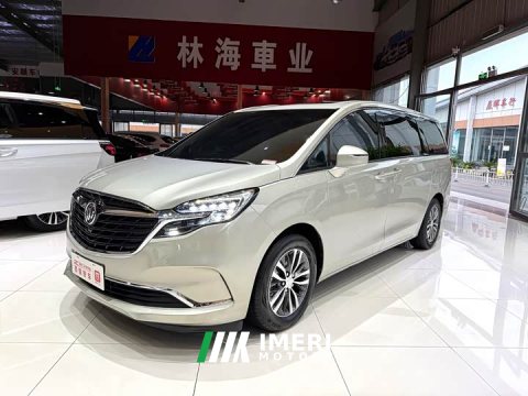 2021 Buick GL8 ES 653T Version - ავტომობილი ჩინეთიდან