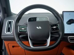 Li Auto L8 Pro - ფოტო 17