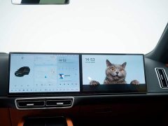 Li Auto L8 Pro - ფოტო 18