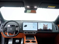 Li Auto L8 Pro - ფოტო 2
