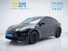 Tesla Model Y Edition - ფოტო 1