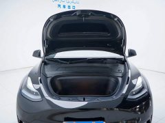 Tesla Model Y Edition - ფოტო 11